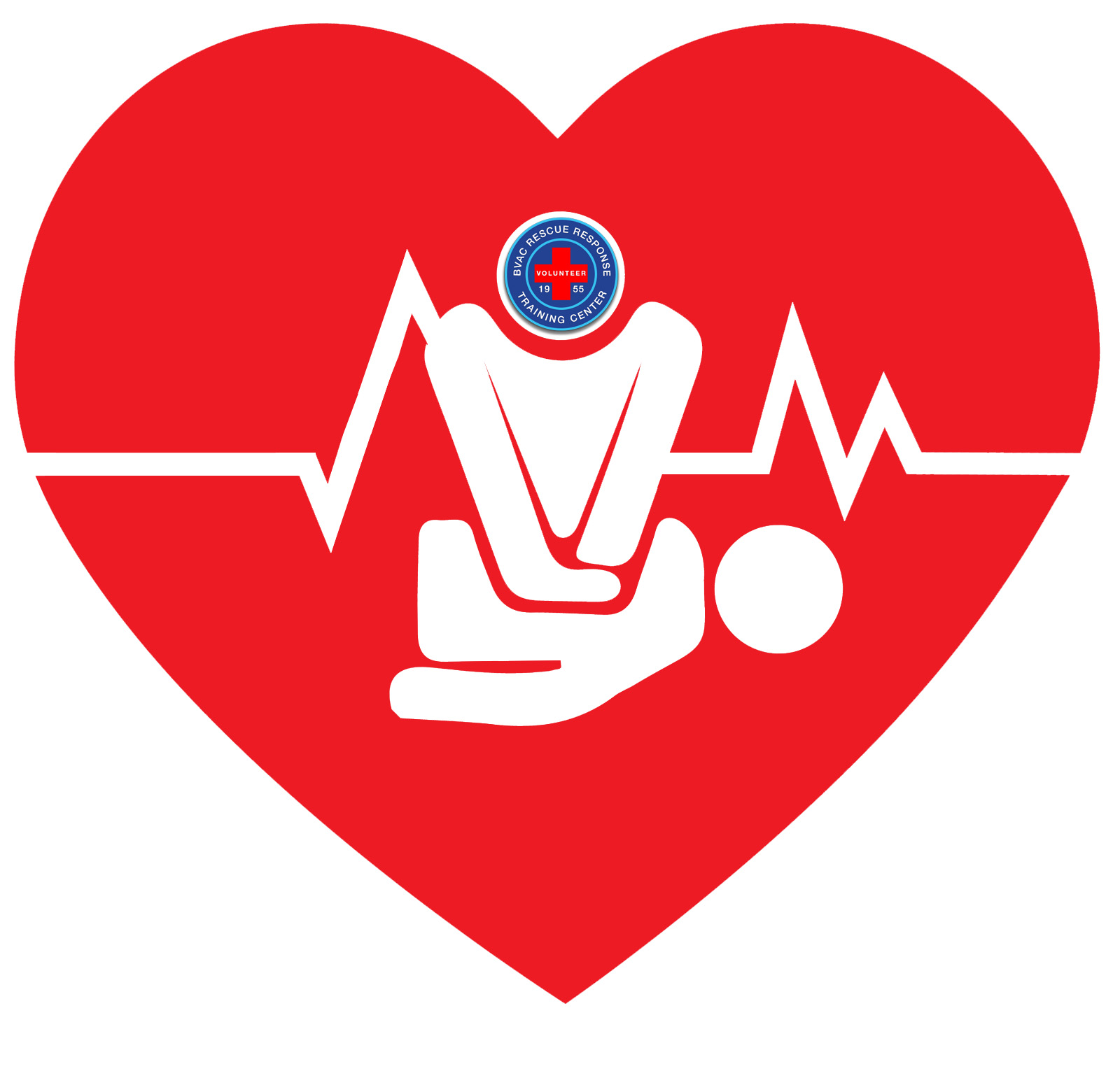 Who Should Take an AHA BLS CPR Instructor Course?